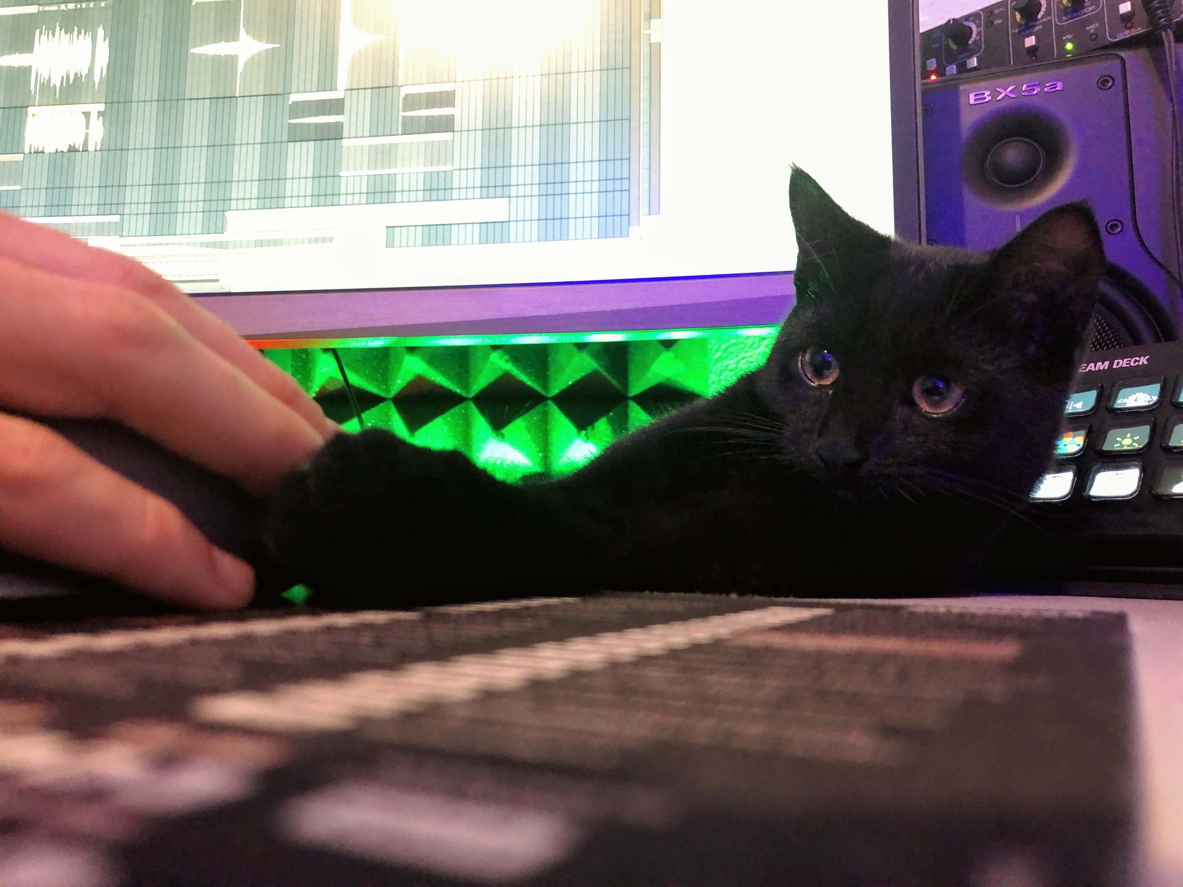 6 Awesome FREE VST plugins to use in your next track! - Broducer by Edwan - Unleash Your EDM Potential 🔥 The Best EDM FLPs, sample packs & Broducer merch