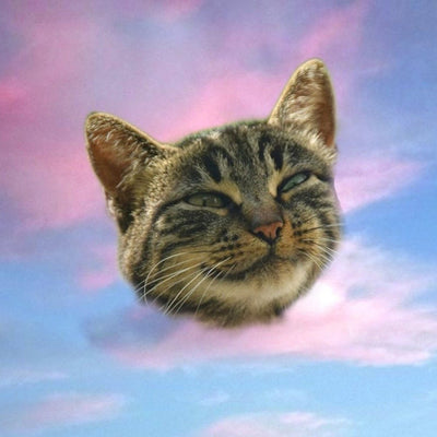 Edwan - 'Luigy' Remix Pack (WAV stems + MIDI) 😸 - Broducer by Edwan - Best EDM FLPs, sample packs & Broducer merch