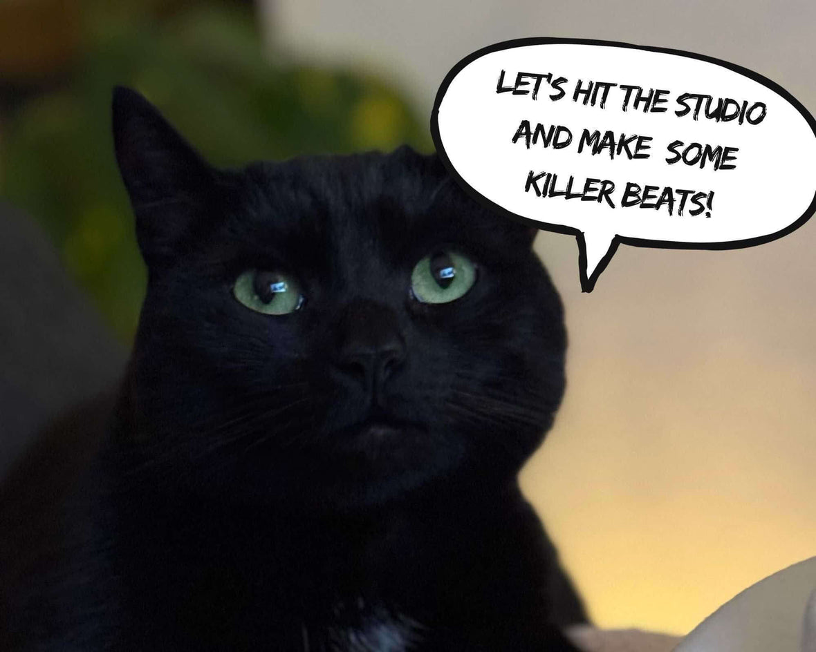 BlackFridayDucer - Broducer by Edwan - Best EDM FLPs, sample packs & Broducer merch