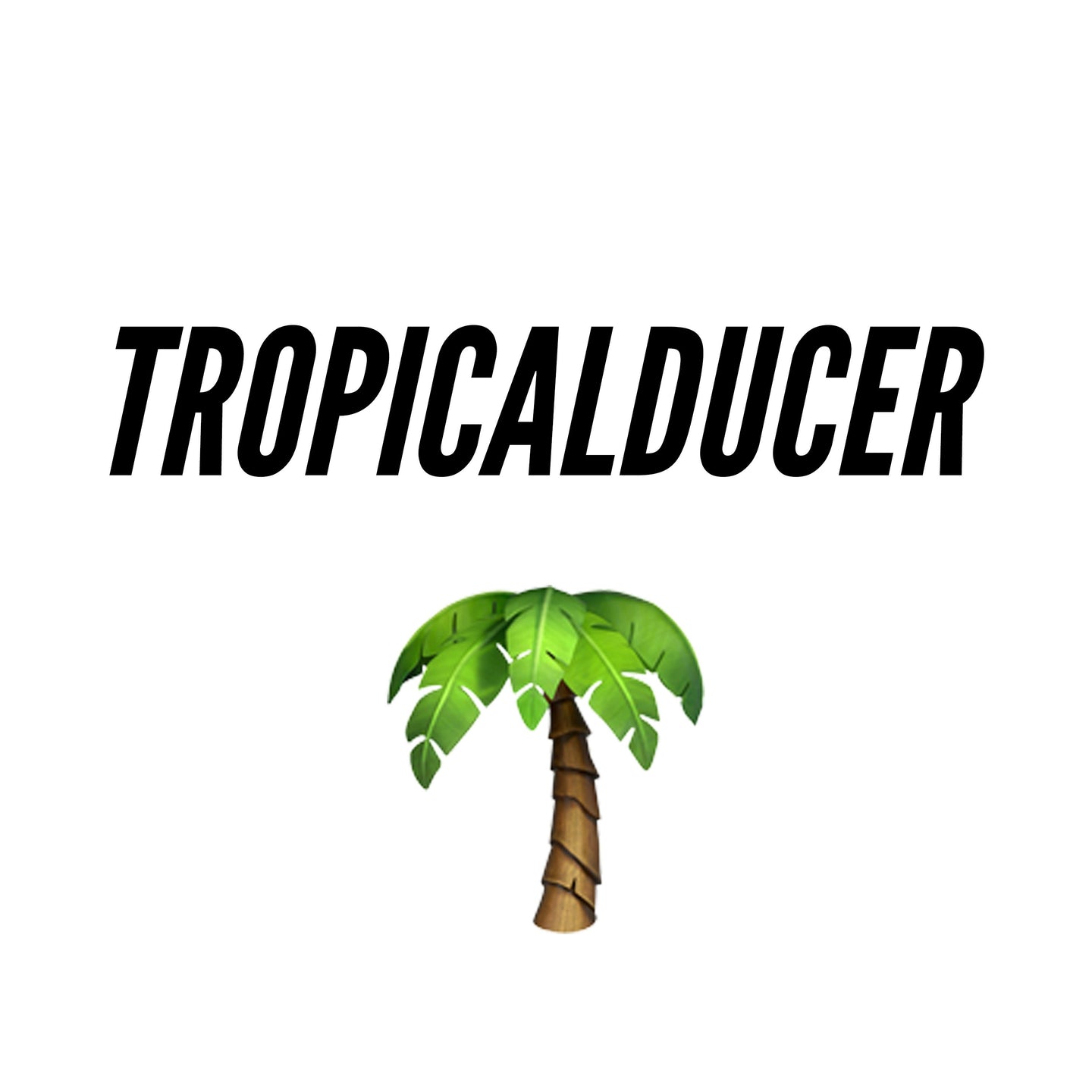 TROPICALDUCER FLP Pack - BRODUCER by EDWAN - Best EDM FLPs, sample packs & Broducer merch